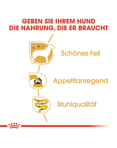 ROYAL CANIN Yorkshire 12 x 85g