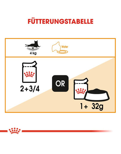 ROYAL CANIN Intense Beauty Jelly 12 x 85 g