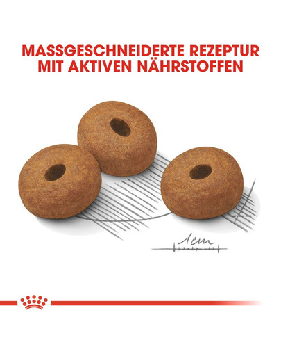 ROYAL CANIN Maxi Light Weight Care 3 kg