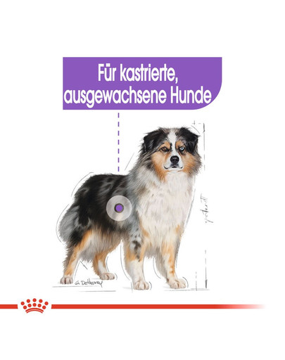 ROYAL CANIN Medium sterilised 3 kg