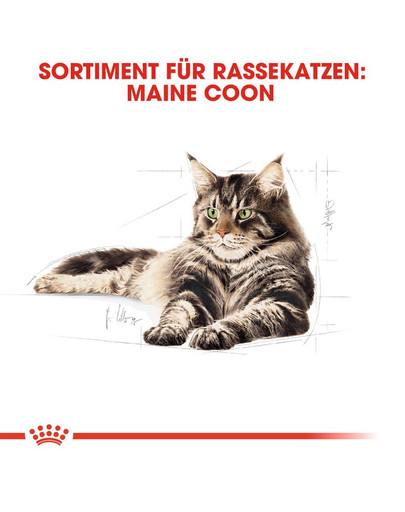ROYAL CANIN Maine Coon Adult 85g