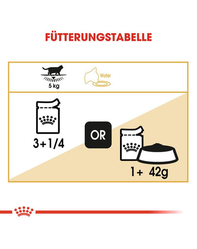 ROYAL CANIN British Shorthair 85 g bustina 12 x 85 g