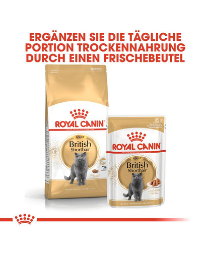 ROYAL CANIN British Shorthair 85 g bustina 12 x 85 g