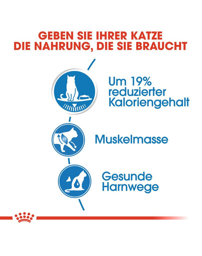 ROYAL CANIN ULTRA LIGHT 85 g bouchées en sauce x 12