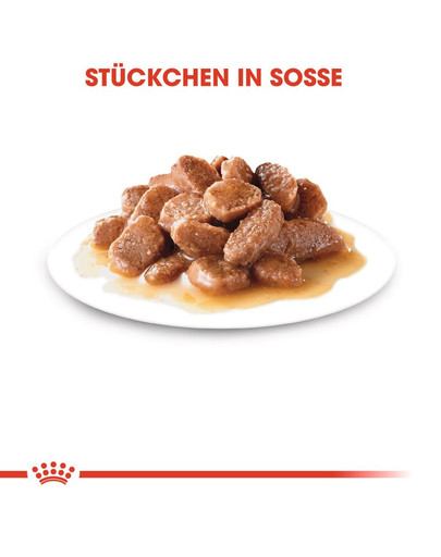 ROYAL CANIN Instinctive in salsa 85 g x 12