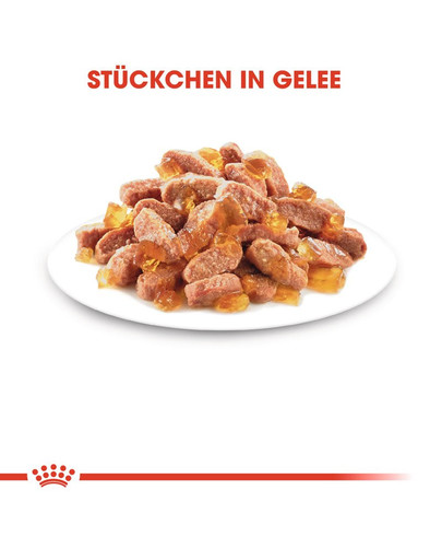 ROYAL CANIN Cat instinctive kitten 0.085 kg