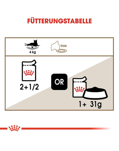 ROYAL CANIN Ageing + 12 Jelly 12x85g