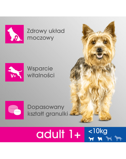PERFECT FIT Perfect Fit Croquettes pour petites races avec du poulet 2,6kg x 3