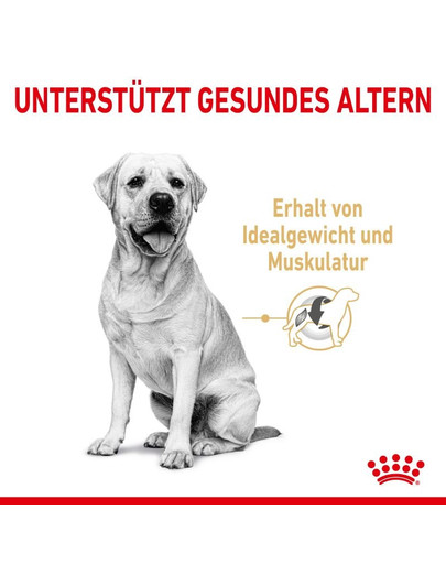 ROYAL CANIN Labrador Retriever Adult 5+ 12 kg