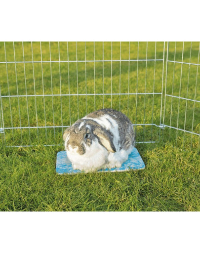 TRIXIE Plaque de refroidissement en céramique pour petits animaux