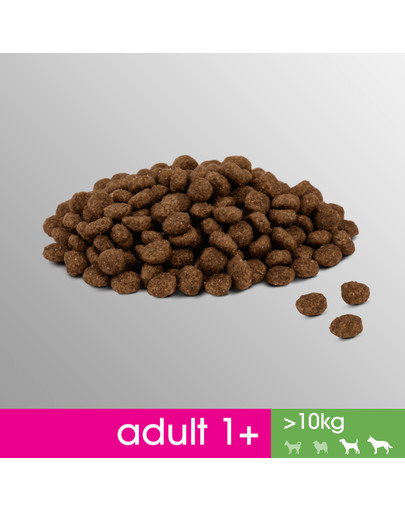 PERFECT FIT Perfect Fit Croquettes pour moyennes et grandes races Poulet 2.6 kg x 3