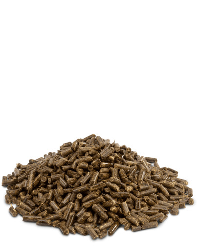 VERSELE-LAGA Prestige 1 kg pellets croustillantes Chinchilla