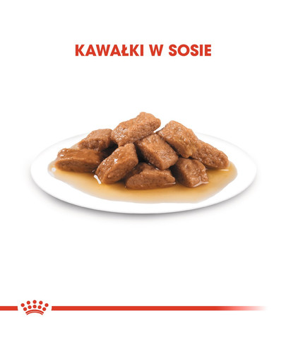 ROYAL CANIN Medium adult 10 x 140 g