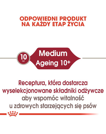ROYAL CANIN Medium ageing 10+ 10 x 140 g