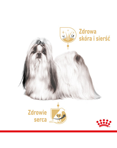 ROYAL CANIN Shih Tzu Adult Loaf 12 x 85 g