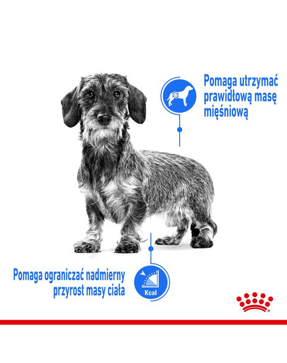 ROYAL CANIN Light Weight Care 12 x 85 g