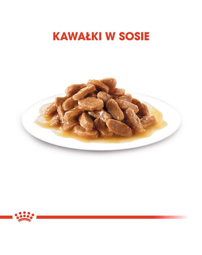 ROYAL CANIN Mini Puppy / Junior Aliments secs pour chiots de 2 à 10 mois, petites races 8 kg + Mini puppy 12x85 g