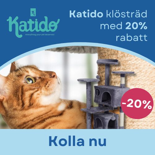 Kampanj KATIDO skraplotter med en rabatt på upp till 20%
