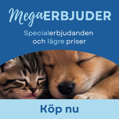 MegaPromotions