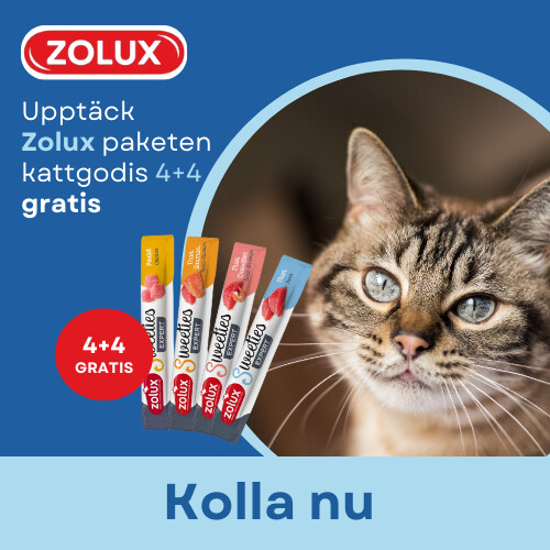 Kampanj ZOLUX Krämiga kattgodis paket 4+4 GRATIS