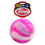 PET NOVA DOG LIFE STYLE Balle flottante taille 8cm multicolore arôme vanille