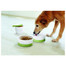 CURVER Pet Travel Kit Récipient pour croquettes, kit de voyage