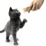 APPLAWS Cat Treat Purea di pollo 8 x 7 g