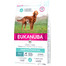 EUKANUBA Daily Care Chien Adulte Sensitive Digestion - pour chiens adultes ayant un appareil digestif sensible au Poulet - 2.3 kg