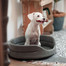 FERA Lit pour chien ovale gris 75x62x22 cm
