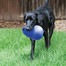 KONG Bounzer Ultra M