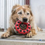 KONG Dotz Square S