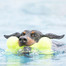 KONG AirDog Squeaker Bone medium 15.5 cm