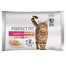 PERFECT FIT Cat Adult 1+ sachets de viande 4*85 g