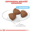 ROYAL CANIN Medium Starter Mother & Babydog 15 kg