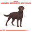 BRIT Care Junior Large Breed lamb & rice 2 x 12 kg
