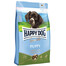 HILL'S Prescription Diet Canine j/d 12 kg soin artuculaire