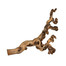 TRIXIE Racines de vigne sablées 5 pièces 40-60 cm