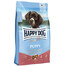 HAPPY DOG Sensible Puppy Lachs 10 kg per i cuccioli salmone e patate