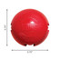 KONG Biscuit Ball L
