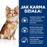 HILL'S Prescription Diet t/d Canine Mini 3 kg