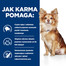 HILL'S Prescription Diet t/d Canine Mini 3 kg