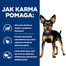 GARDENA Akumulatorowa podkaszarka EasyCut 23/18V P4A (bez akumulatora)