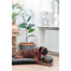FERA Sunset Ponton Letto per cani M 86 x 58 cm