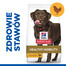 HILL'S Science Plan Canine Adult Healthy Mobility Large breed Chicken 14 kg  cibo per cani di razza grande per le articolazioni