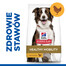 DREAMIES Dreamies au canard 60g