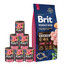 BRIT Premium By Nature Junior Large L 15 kg + mokra karma z cielęciną 6x400 g