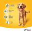 PEDIGREE con pollo e carote in gelatina 400g