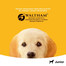 PEDIGREE Junior con pollo in gelatina 400g