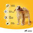 PEDIGREE Junior con pollo in gelatina 400g