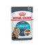 ROYAL CANIN Urinary Care 24x85 g w sosie karma mokra w sosie dla kotów dorosłych, ochrona dolnych dróg moczowych